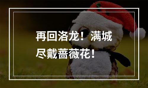 再回洛龙！满城尽戴蔷薇花！