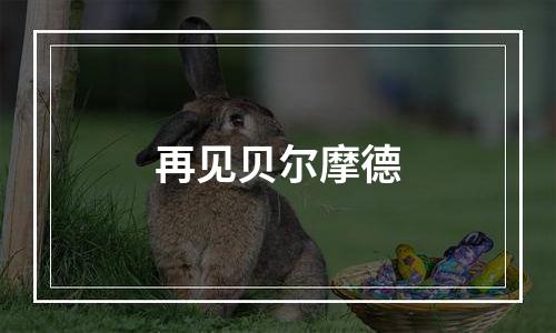 再见贝尔摩德
