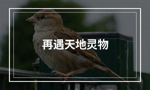 再遇天地灵物