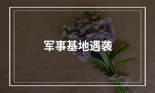 军事基地遇袭