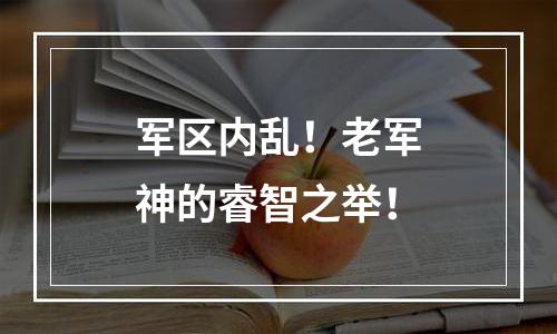 军区内乱！老军神的睿智之举！