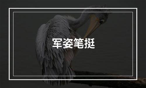 军姿笔挺