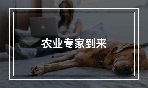 农业专家到来