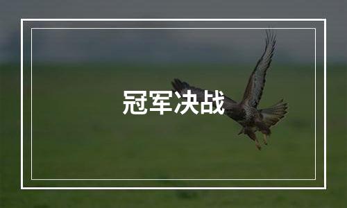 冠军决战