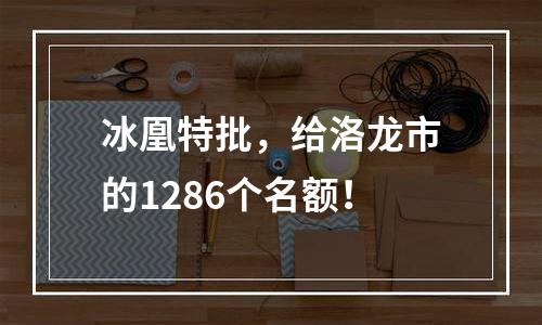 冰凰特批，给洛龙市的1286个名额！