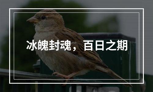 冰魄封魂，百日之期