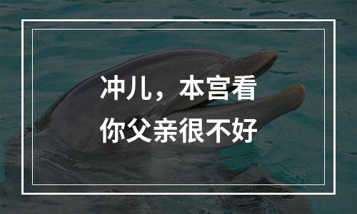 冲儿，本宫看你父亲很不好