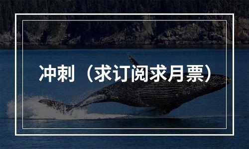 冲刺（求订阅求月票）