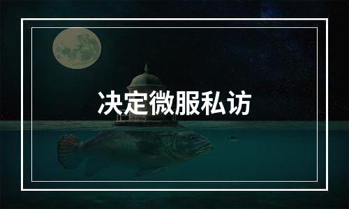 决定微服私访