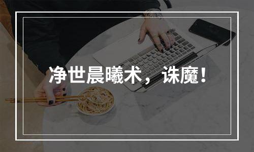 净世晨曦术，诛魔！