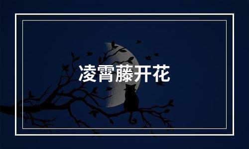 凌霄藤开花