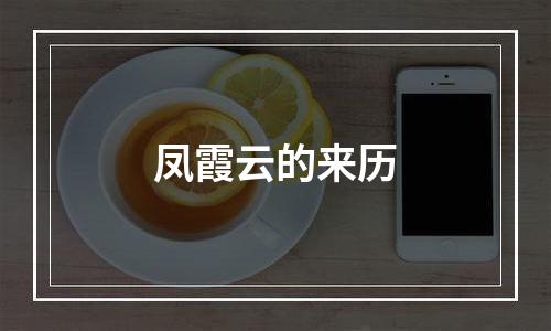 凤霞云的来历