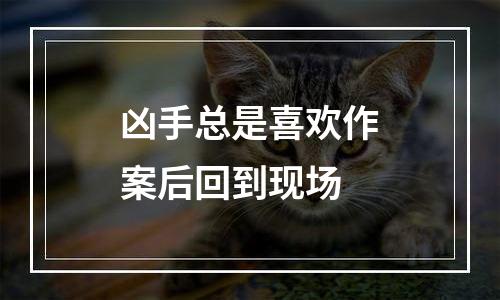 凶手总是喜欢作案后回到现场
