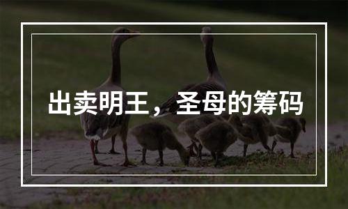 出卖明王，圣母的筹码