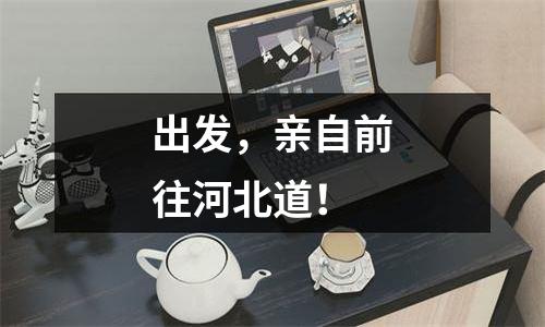 出发，亲自前往河北道！