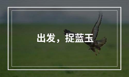 出发，捉蓝玉