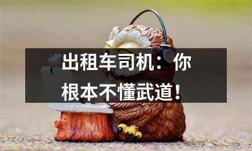出租车司机：你根本不懂武道！