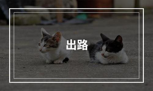 出路