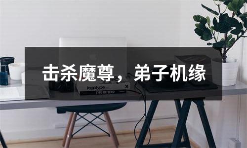 击杀魔尊，弟子机缘