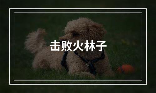 击败火林子