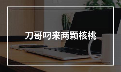 刀哥叼来两颗核桃