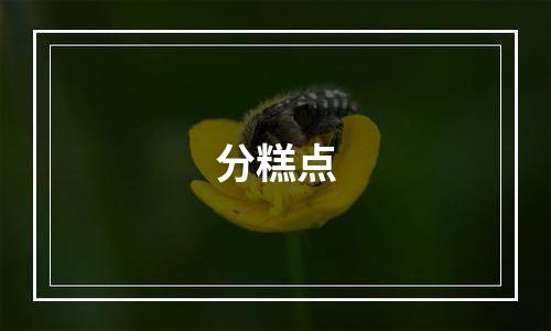 分糕点