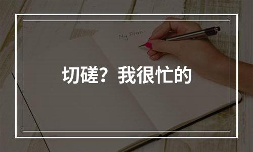 切磋？我很忙的