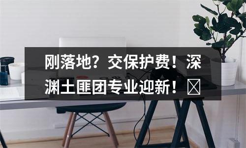 刚落地？交保护费！深渊土匪团专业迎新！​