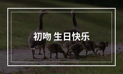 初吻 生日快乐