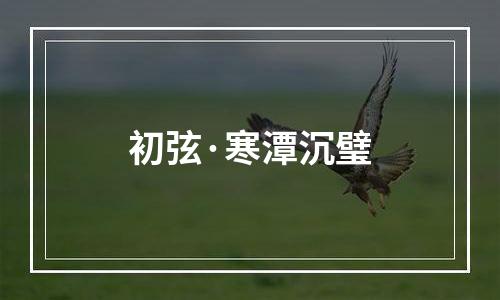 初弦·寒潭沉璧