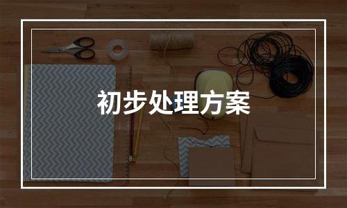 初步处理方案