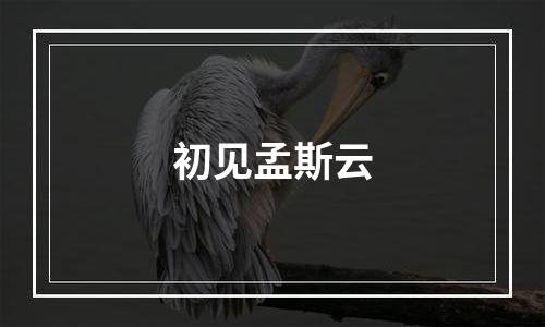初见孟斯云