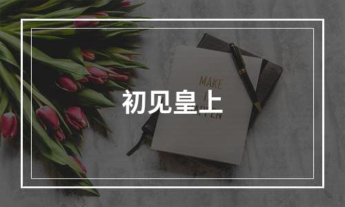 初见皇上