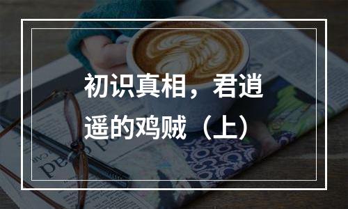初识真相，君逍遥的鸡贼（上）