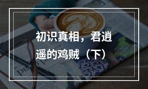 初识真相，君逍遥的鸡贼（下）