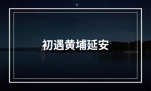 初遇黄埔延安