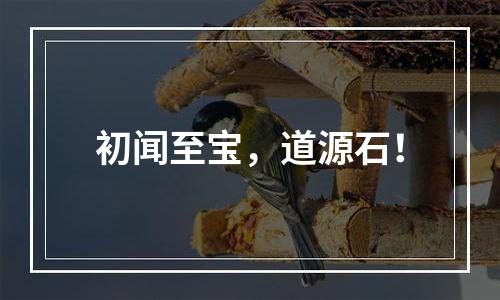 初闻至宝，道源石！