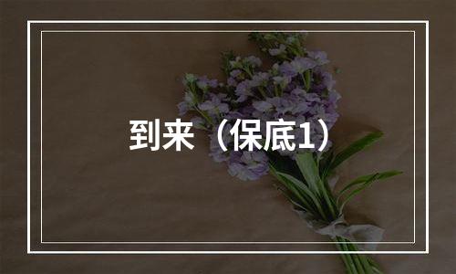 到来（保底1）