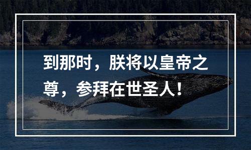 到那时，朕将以皇帝之尊，参拜在世圣人！