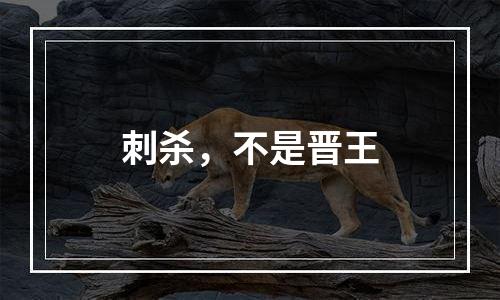 刺杀，不是晋王