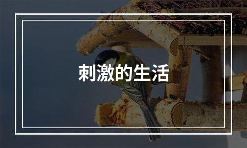 刺激的生活