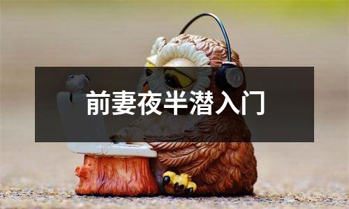 前妻夜半潜入门