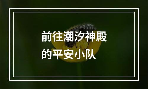 前往潮汐神殿的平安小队