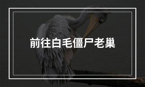 前往白毛僵尸老巢