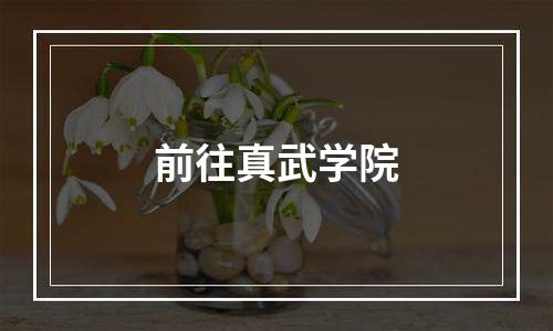 前往真武学院