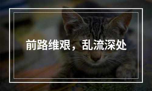 前路维艰，乱流深处