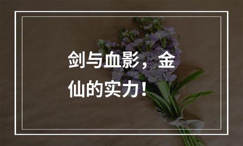 剑与血影，金仙的实力！