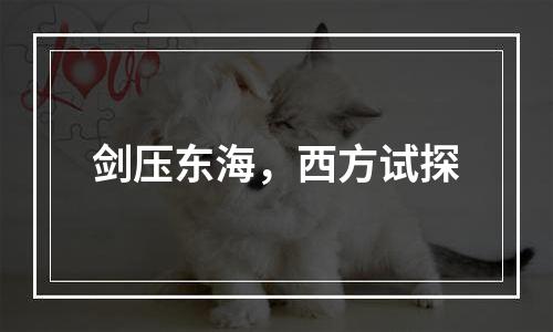 剑压东海，西方试探