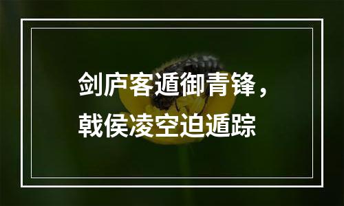 剑庐客遁御青锋，戟侯凌空迫遁踪