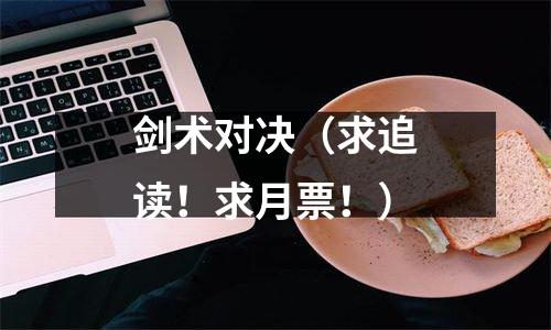 剑术对决（求追读！求月票！）